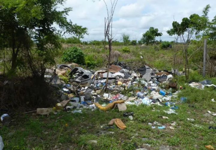 Foto: José Vásquez