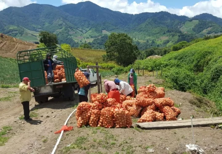 Diálogo: El presidente de la Cámara de Comercio, Industrias y Agricultura de Panamá, Jorge García Icaza, expresó que,  a corto plazo, el Ejecutivo debe mantener el diálogo con los productores, a través de las cadenas alimentarias.