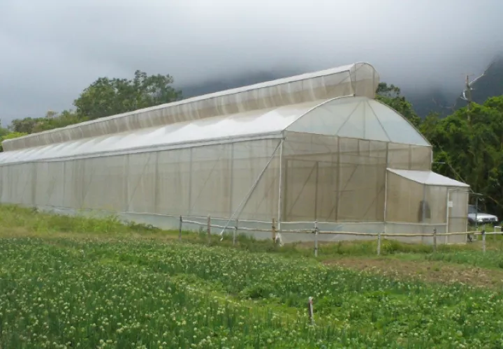 Competitividad y tecnología: Según el presidente de la Cámara de Comercio, es importante dotar de recursos necesarios para hacer las inversiones que mejoren los centros de capacitación agropecuaria y dar apoyo a los técnicos del Mida para que puedan guiar a los productores.