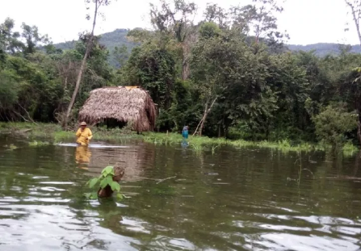 Según los dirigentes  indígenas abandonan casas a las cuales va llegando al agua. /Foto Mayra Madrid
