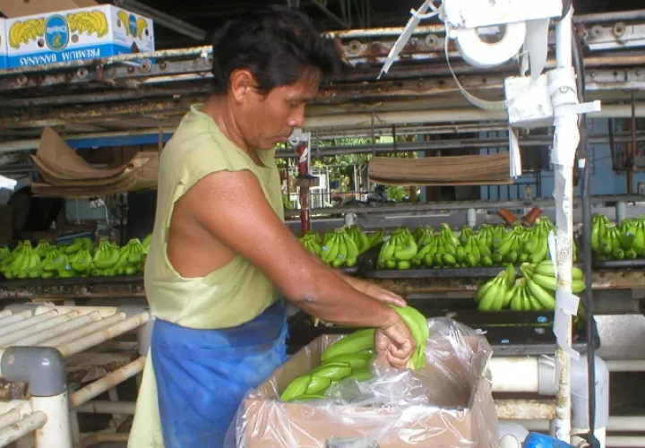 Las grandes potencias del mundo pretenden que no existan  aranceles de importación, lo que no tiene sentido, según expertos. /Foto Archivo