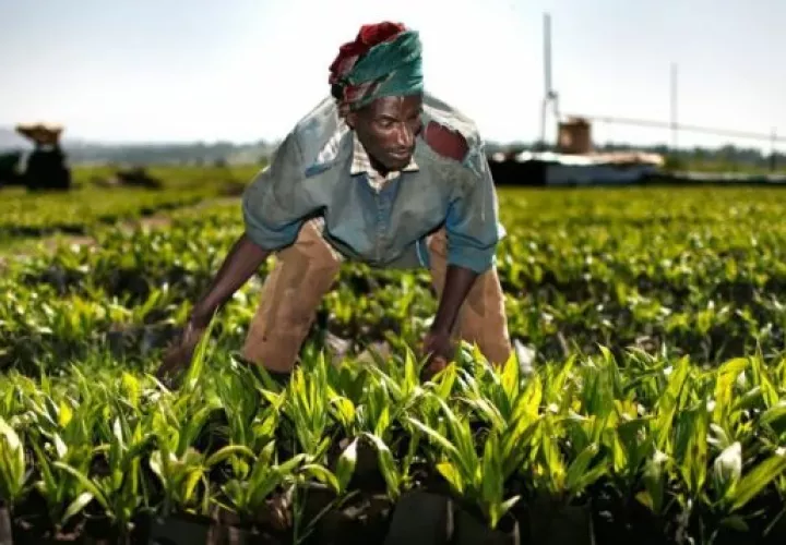 Más de 300 millones de africanos viven por debajo del umbral de la pobreza