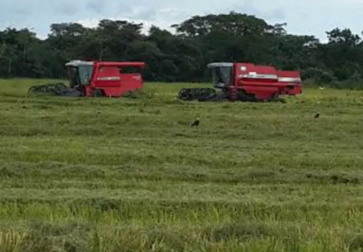 Foto: José Vásquez