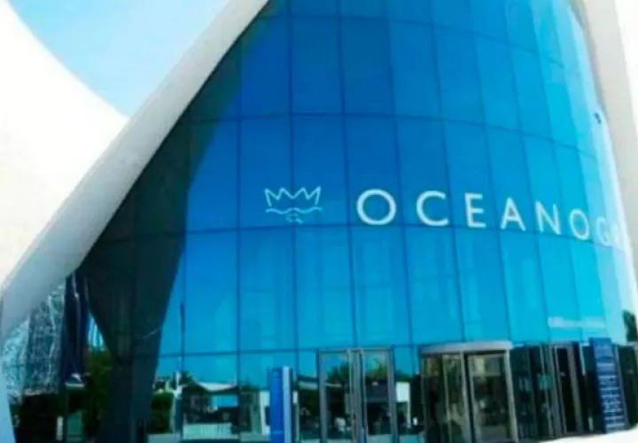 Oceanografía, proveedora de servicios de reparación y mantenimiento a pozos de Pemex, fue investigada por utilizar presuntos documentos falsos/Cortesía.