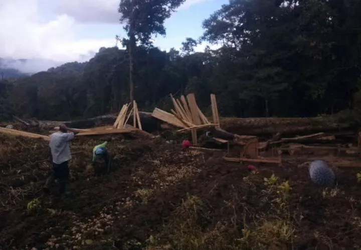 Foto: José Vásquez