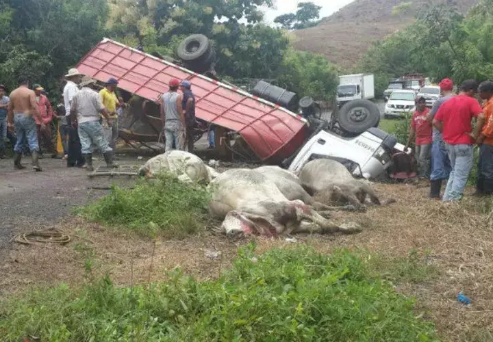 Así quedó el camión. Foto: Zenaida Vásquez 