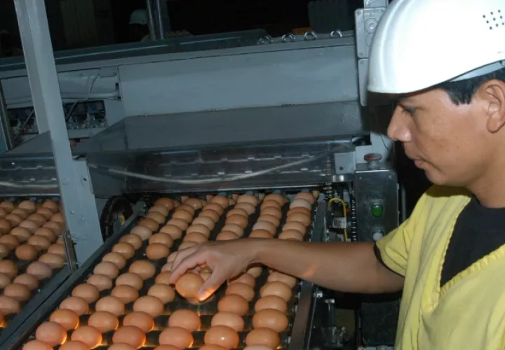 Aclaran que existe producción necesaria para el mercado. /Foto Archivo