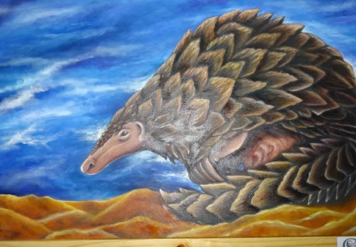 "Pangolín, un guerrero acorazado", de Laurents Gordón.