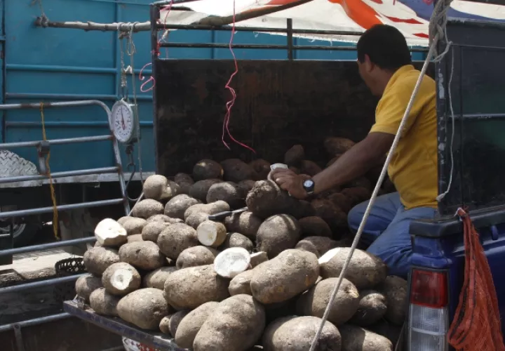 La Aupsa decomisó productos alimenticios de alto riesgo. /Foto Archivo