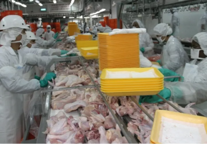 La política que aún espera el sector tiene el objetivo de darle un 'vuelco radical' a la economía del país y volver al sector productivo más competitivo. Archivo