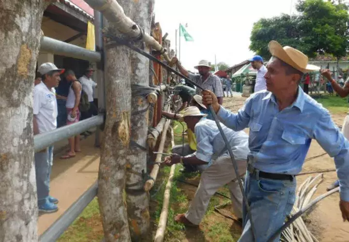 Trabajo arduo. Foto: Zenaida Vásquez.