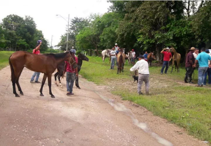 Foto: Elena Valdez.