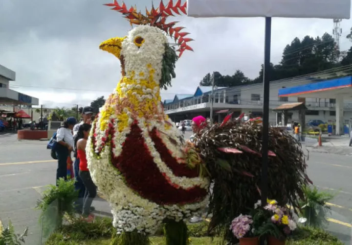 Las Tierras Altas de Panamá celebran esta exhibición por segundo año consecutivo/EFE.