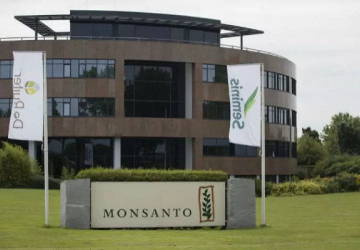  Monsanto tiene una cuota de mercado de productos químicos del 26%.
