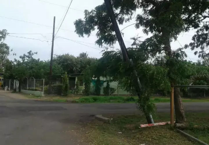 Foto: IIustrativa.