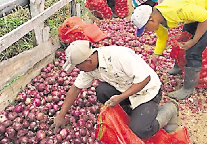 Productores: El Gobierno está haciendo las cosas mal en el agro
