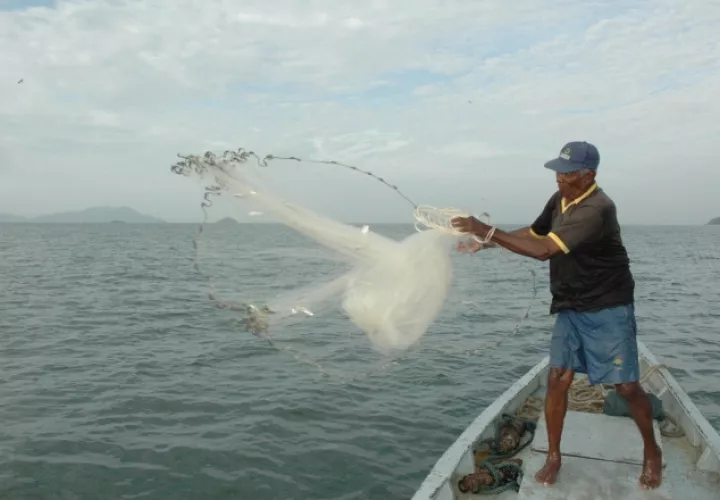 La pesca es un buen generador de empleos. /Foto Archivo
