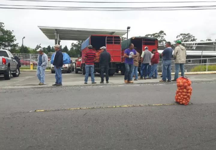 Los productores han pasado dificultades con la comercialización de su mercancía, y denuncian como uno de los factores, la excesiva importación en el sector primario. /Foto José Vásquez