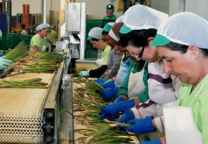 31.1% de las mujeres de la región  no cuenta con un ingreso propio. /Foto EFE