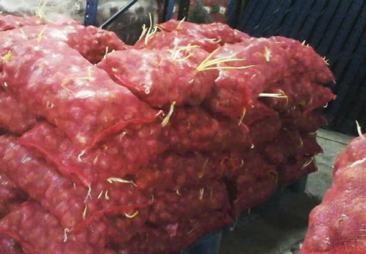 27 mil 580 kilogramos de cebolla morada se destruirán/Cortesía.