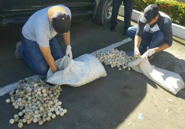 Eran reincidentes. Foto: Zenaida Vásquez