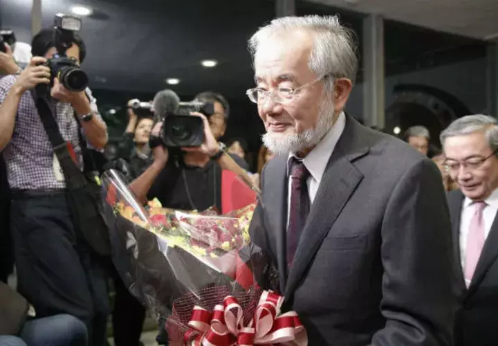  Yoshinori Ohsumi. Foto/ AP