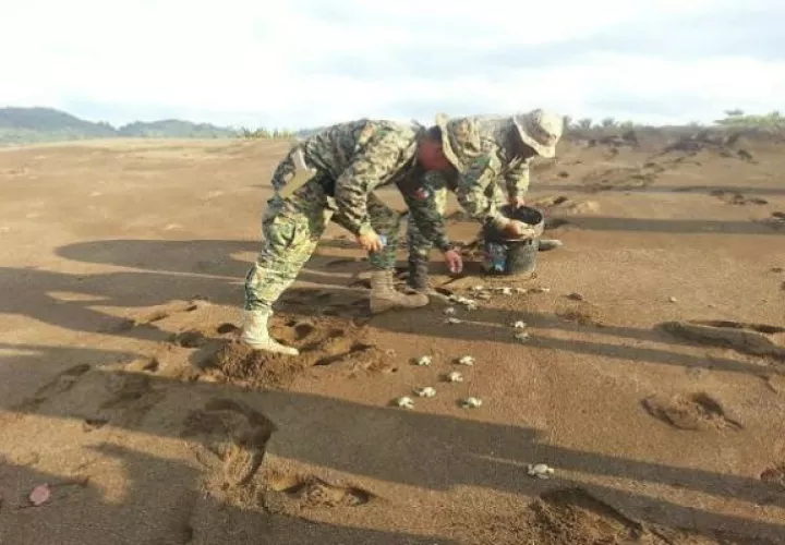 Unidades del Senafront apoyan en la liberación.