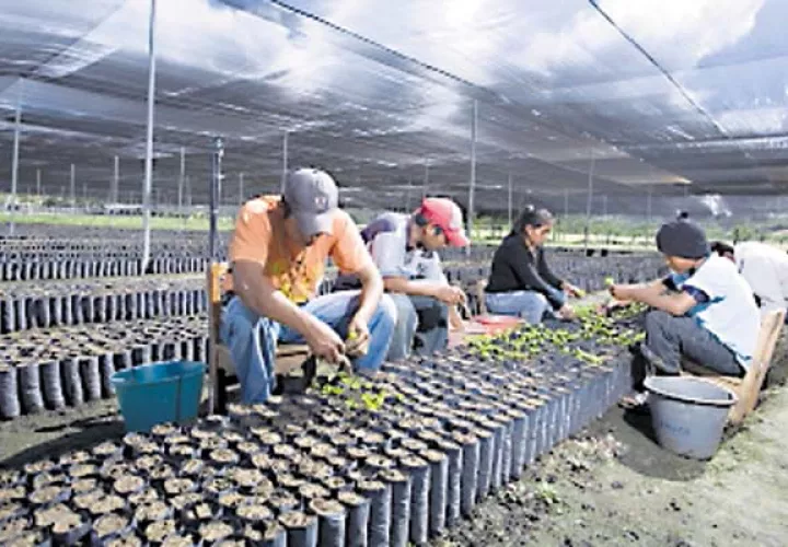 Restricciones para alimentos sanos en el mundo