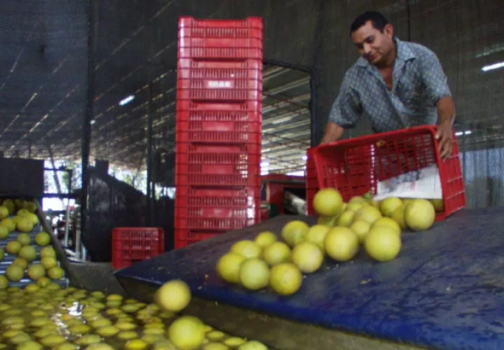 Arancel promedio aplicado por Panamá a  países con los que no tiene acuerdos comerciales es de 7.4%. Archivo