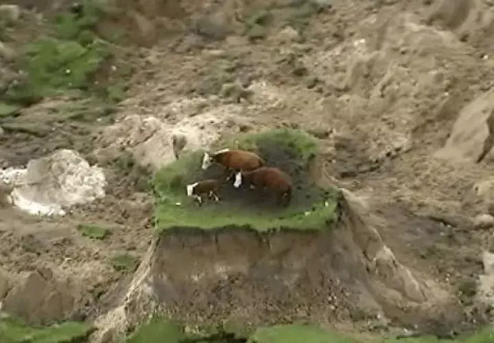  Quedaron en una isla de hierba. Foto/ AP