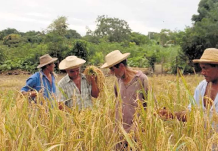 Productores del país  buscan, de alguna manera, ser escuchados