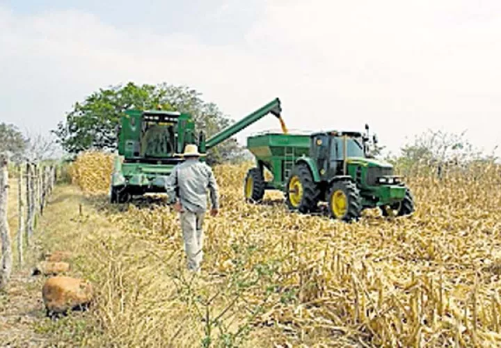 Productores dicen luchar por mantener la  soberanía alimentaria