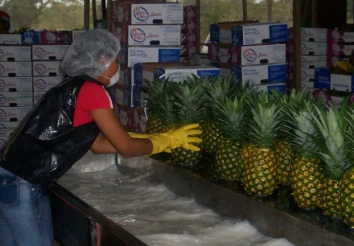 Caída en exportaciones. /Foto Archivo