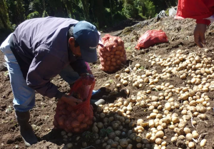 El sector agropecuario ha sido golpeado por las importaciones. /*Foto Archivo