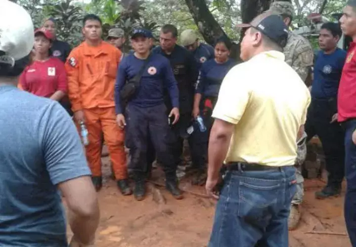 Estamentos de seguridad en el área. 