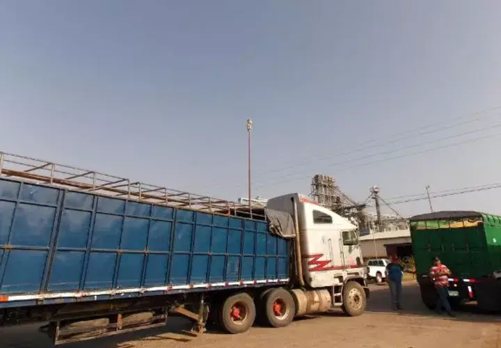 También existe la problemática del arroz importado. Foto: Zenaida Vásquez. 
