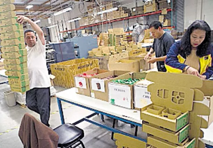 Moderados planes de contratación para el primer trimestre 2017