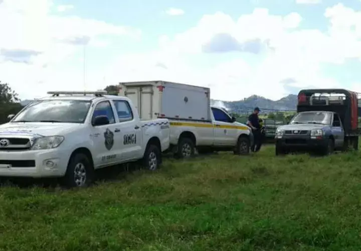 Estaba desaparecido. Foto: José Manuel Adames.