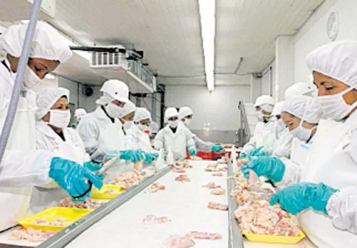 Las exportaciones panameñas han caído considerablemente en 9 años