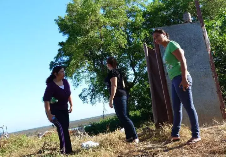 Denuncian que animales habían sido  abandonados. Thays Domínguez