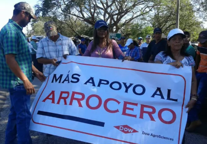 Foto: Thays Domínguez. 