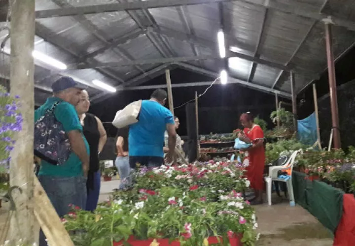 El área de la flores llama la atención de los visitantes. Foto: José Vásquez.