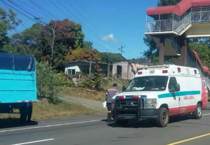 Foto: José Vásquez. 