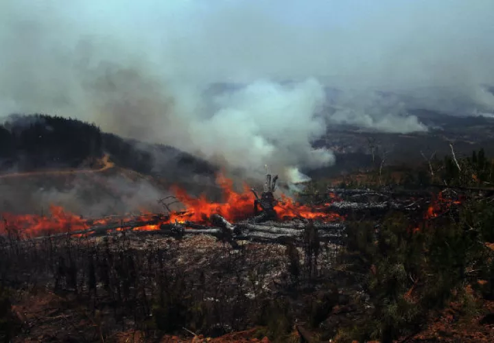 Unos 1,200 miembros de las Fuerzas Armadas y más de 500 bomberos tratan de apagar las llamas. FOTO/EFE