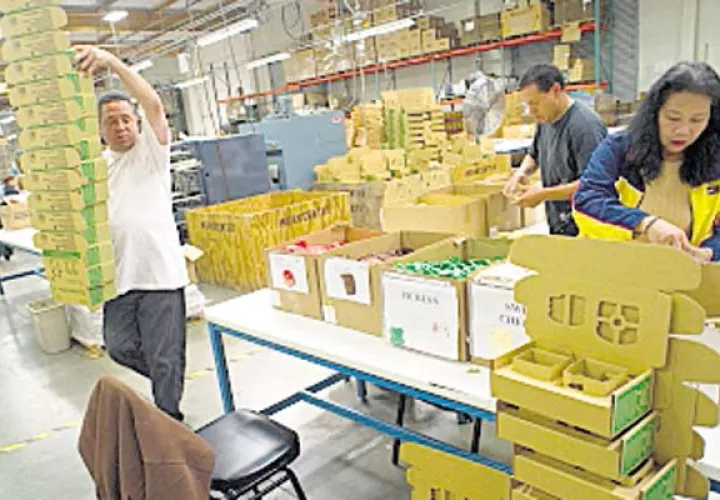 Falta de políticas públicas afecta a la industria  manufacturera del país