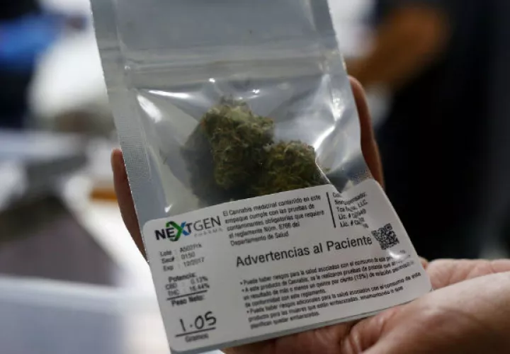El consumo recreativo de la marihuana ya es legal en 38 de los 50 estados del país. FOTO/EFE