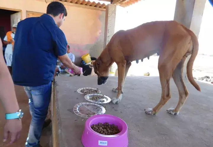 Foto: Zenaida Vásquez.