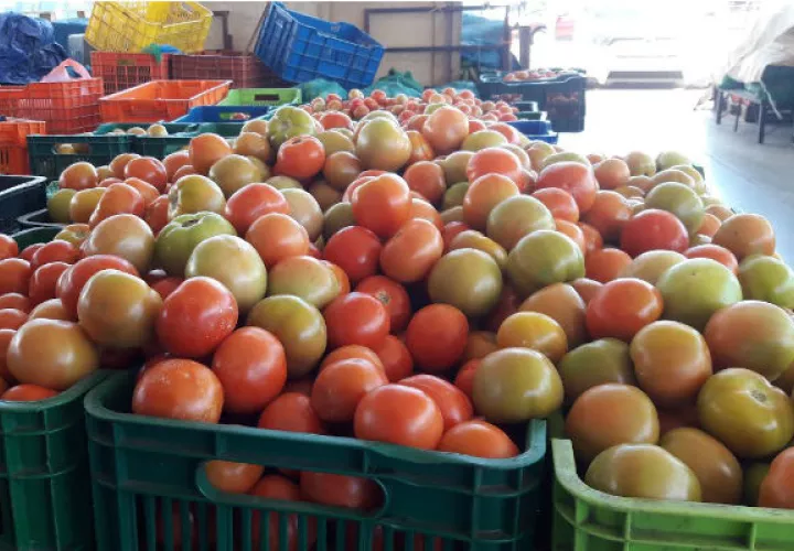 Venta de tomates en el Mercado de Abastos en David. Foto: José Vásquez.