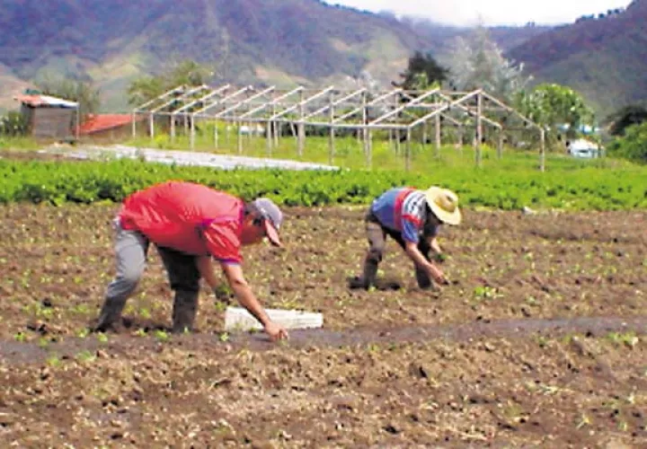 Solicitan al Estado fortalecer el sector productivo del país