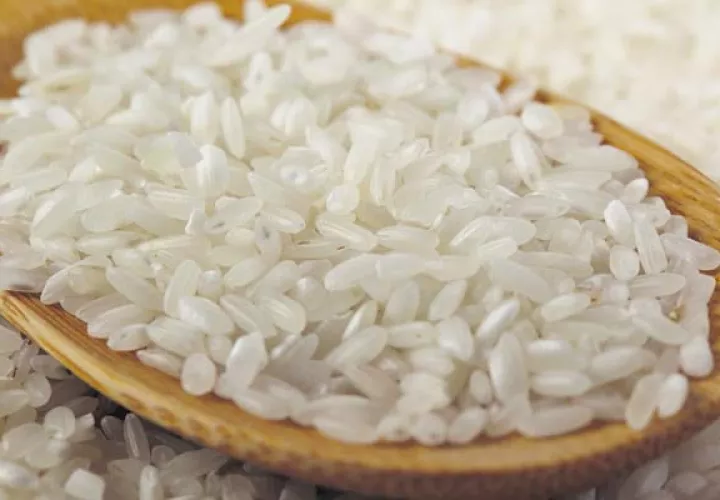 El Gobierno les debe a los productores $7.50 por cada quintal de arroz vendido a los molinos. /Foto Archivo
